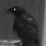 knottingleytrucks.co.uk