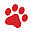 northpaws.com