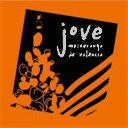 jovemuixerangadevalencia.org