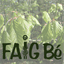 faig-be.com