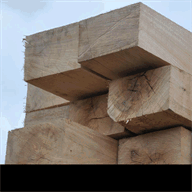 elanvitalcontemporary.com