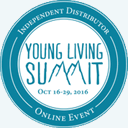 2016.ylsuccesssummit.com