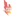 pushfire.de