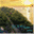 theoceanfrontsuites.wordpress.com