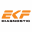 ekf-diagnostic.ru