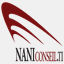 naniconseilti.com