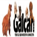 galcan.com