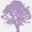 thejacarandas.co.za