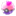pokesheinux.wordpress.com