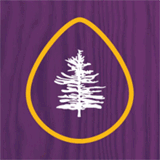 canoasriodeva.com