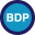 bdp.co.za