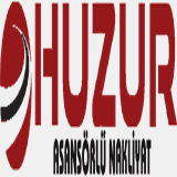 kocaeliasansorlunakliyat.com