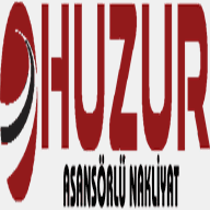 kocaeliasansorlunakliyat.com