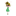 laurarino.com
