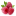 raspberry-ketone-max.com