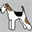 foxterrier-notfelle.de