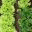 livingoffgrid.net