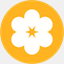 navajobic.org