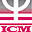 icmconsulting.it