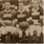 saracensrugbyww1.com