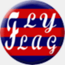 cnflyflag.com