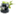 acaciastudios.net