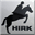 hixhickorync.com