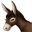 donkeybrainspoker.com