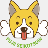 fujii-seikotsuin.com