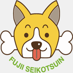 fujii-seikotsuin.com