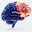 optimizeyourbrain.org