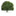 joshuatreeexperts.net