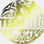 teamtieu.com