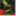 bfpaintball.com.br