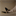 blahkesto.bandcamp.com