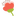 adreaming.com