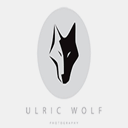 ulricwolf.com