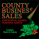 businesssalessoutheast.co.uk