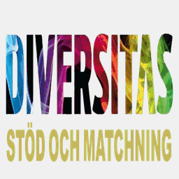 diversitas.se