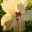 knowwhereisit.wordpress.com