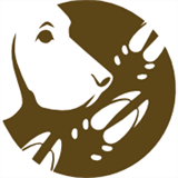 nachhaltige-energie.com