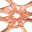 creatinginclusiveschoolcommunities.wordpress.com