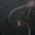 briancorcorangeleen.wordpress.com