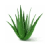 betterhealthnaturally.org