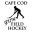 capecodyouthfieldhockey.com