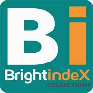 brightindex.co.za
