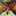 alphacentauri.bandcamp.com