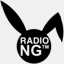 radio-ng.com