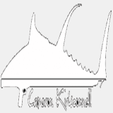 cameronkirkconnell.com