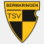 tsv-bermaringen.de